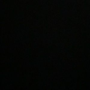 Meet your Posher, Rose